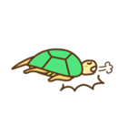 Little Turtle kame カメ（個別スタンプ：36）
