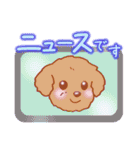 メッセージわんこ 犬スタンプ（個別スタンプ：24）