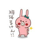 博多のうさぎ。（個別スタンプ：11）