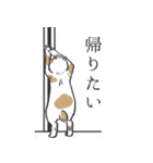 浮世絵風（？）ねこ（個別スタンプ：12）