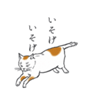 浮世絵風（？）ねこ（個別スタンプ：24）