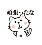 白猫参上2ほめ上手な猫【プチアニマル⑰】（個別スタンプ：19）