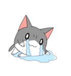 なぞねこ（個別スタンプ：11）