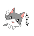 なぞねこ（個別スタンプ：13）