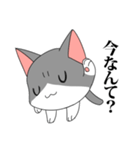 なぞねこ（個別スタンプ：14）