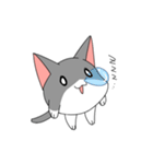 なぞねこ（個別スタンプ：19）