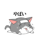 なぞねこ（個別スタンプ：26）