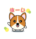 まんまる動物スタンプ（犬）（個別スタンプ：1）