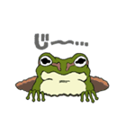 蛙の日常（個別スタンプ：34）