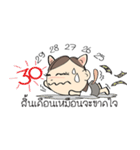 Nu Meaw is back（個別スタンプ：36）