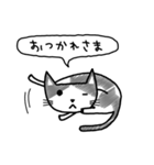 きょとんねこ（個別スタンプ：7）