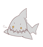 ふにふにサメくん（個別スタンプ：1）