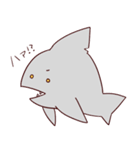 ふにふにサメくん（個別スタンプ：3）
