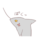 ふにふにサメくん（個別スタンプ：27）