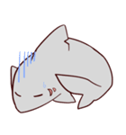 ふにふにサメくん（個別スタンプ：31）