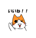 2次元ねこ☆（個別スタンプ：11）