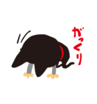 忍びの猫【忍にゃ】（個別スタンプ：31）