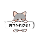 ふきだしねここ（個別スタンプ：4）