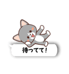 ふきだしねここ（個別スタンプ：24）