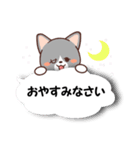 ふきだしねここ（個別スタンプ：39）