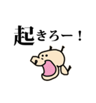 コロたん（個別スタンプ：30）