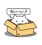 ハコねことふきだし（個別スタンプ：5）