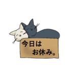 箱ねご（個別スタンプ：21）