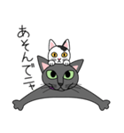 せじゃねこ日誌（個別スタンプ：14）