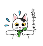 せじゃねこ日誌（個別スタンプ：23）