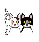 せじゃねこ日誌（個別スタンプ：32）