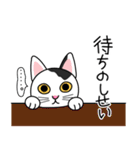 せじゃねこ日誌（個別スタンプ：37）