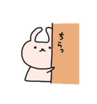 日常のうさぎスタンプ（個別スタンプ：36）