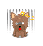 ヨーキーの日常生活（個別スタンプ：5）