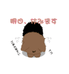 ヨーキーの日常生活（個別スタンプ：8）
