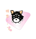 ヨーキーの日常生活（個別スタンプ：12）