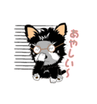 ヨーキーの日常生活（個別スタンプ：15）