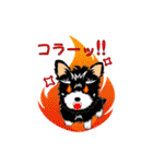 ヨーキーの日常生活（個別スタンプ：16）