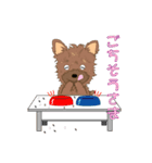 ヨーキーの日常生活（個別スタンプ：26）