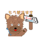 ヨーキーの日常生活（個別スタンプ：29）