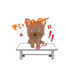 ヨーキーの日常生活（個別スタンプ：39）