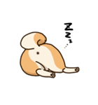 柴犬日和（個別スタンプ：9）