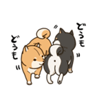 柴犬日和（個別スタンプ：23）