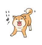 柴犬日和（個別スタンプ：27）