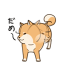 柴犬日和（個別スタンプ：28）