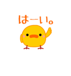 ぴよきち（個別スタンプ：1）