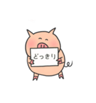 一匹の豚（個別スタンプ：4）