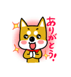 GOGO！柴犬くん（個別スタンプ：6）