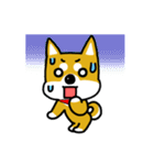 GOGO！柴犬くん（個別スタンプ：9）