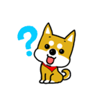 GOGO！柴犬くん（個別スタンプ：21）