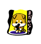 GOGO！柴犬くん（個別スタンプ：24）